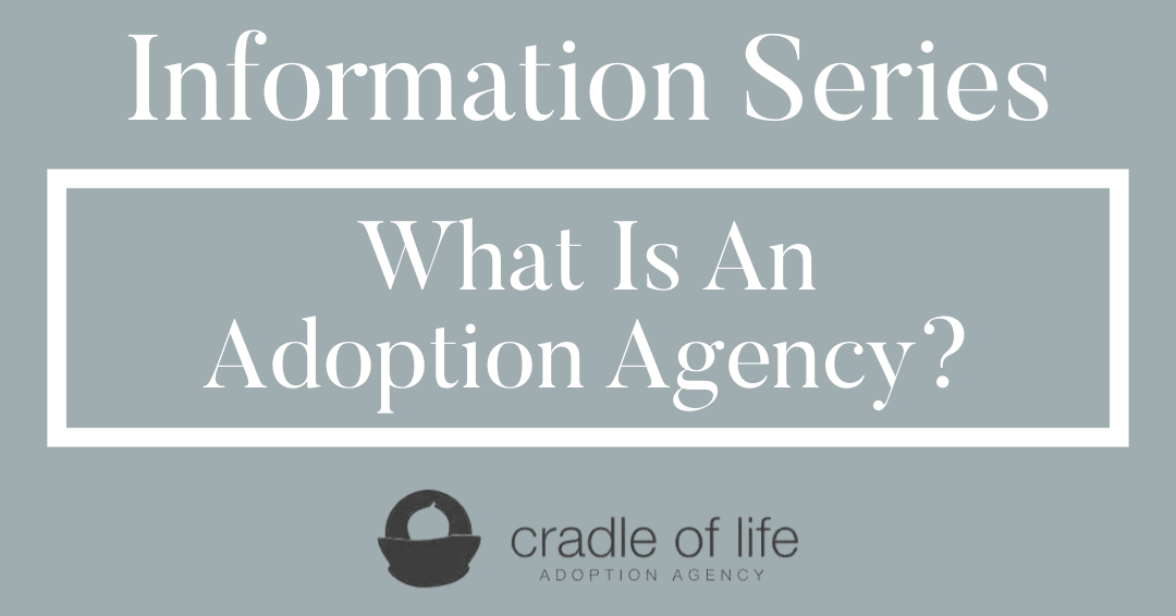 what-is-an-adoption-agency